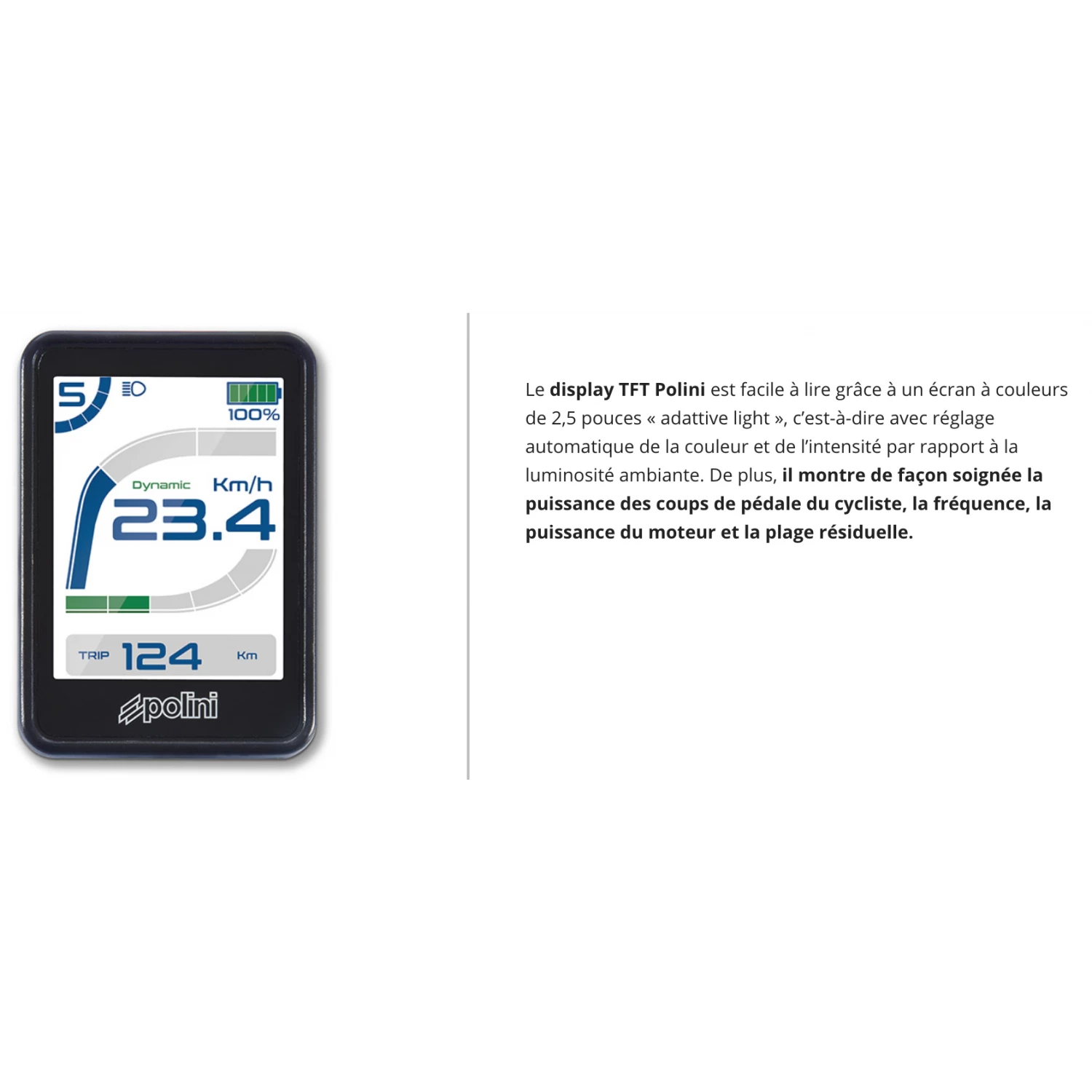 E-gravel Bertin E110 – Image 4