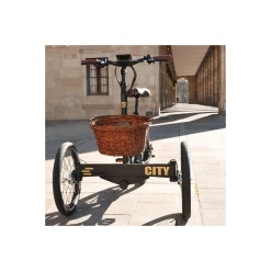 Etnnic Tricycle City Trike