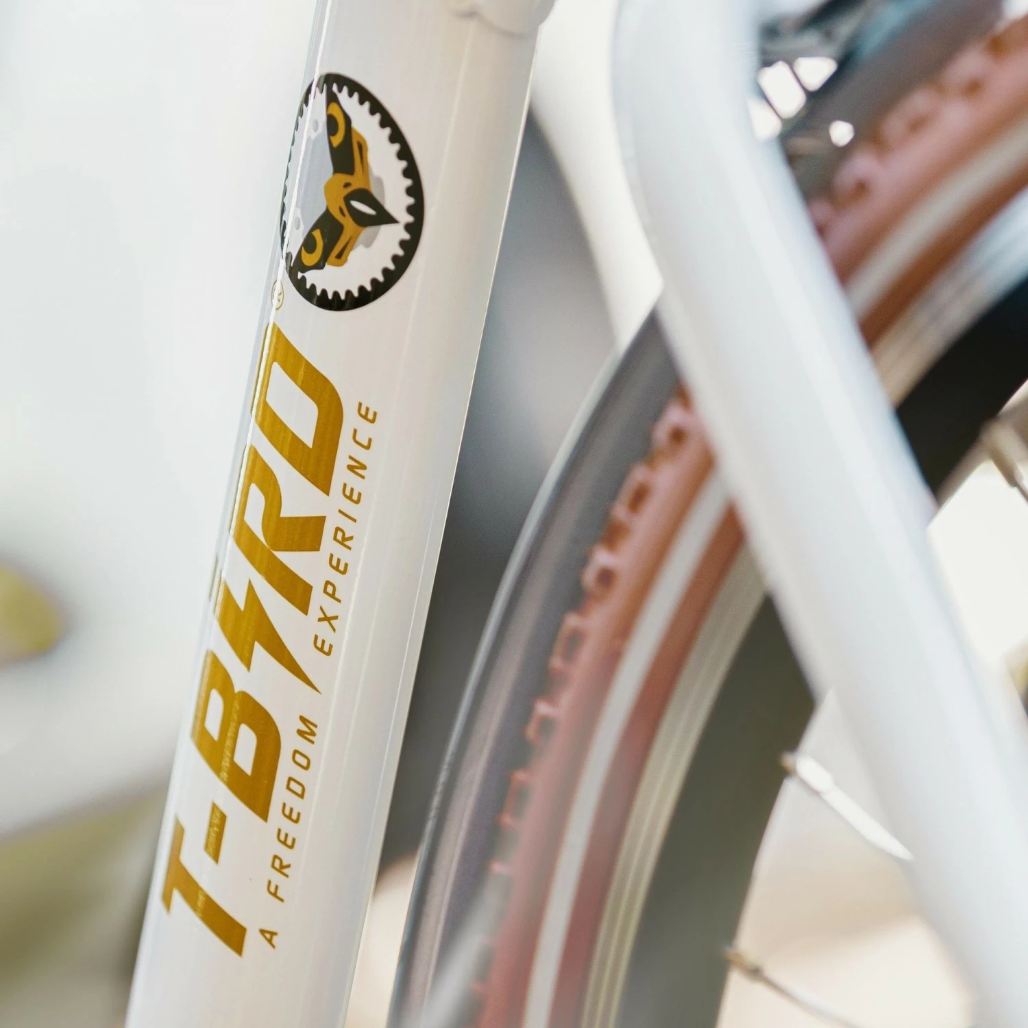 T-Bird Miami – Image 2