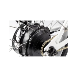 Vélo Cargo Rayvolt Trixie